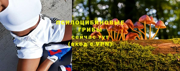 дмт Горнозаводск