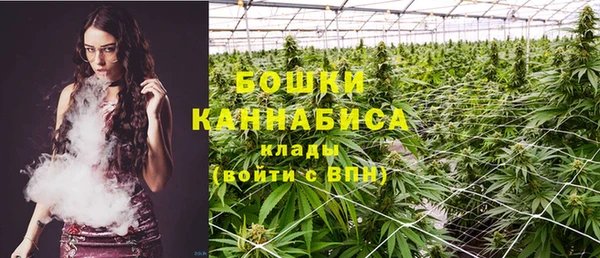 дмт Горнозаводск