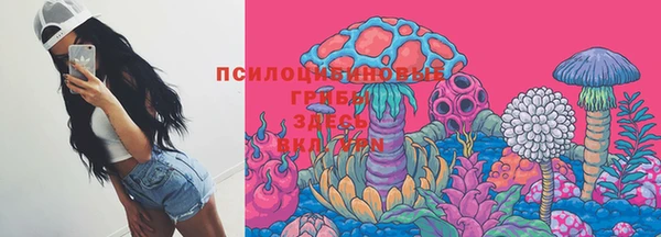 дмт Горнозаводск