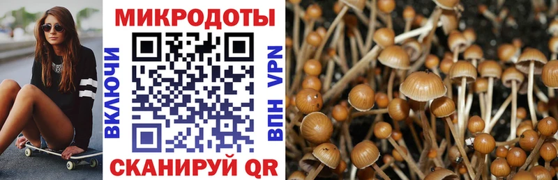 как найти закладки  Кораблино  блэк спрут зеркало  Галлюциногенные грибы Cubensis 
