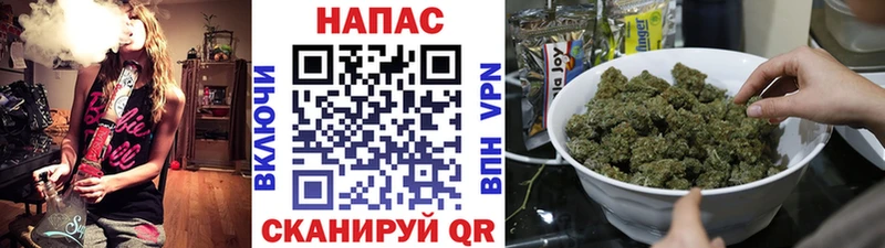 Марихуана план  Кораблино 